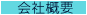 ILTEX ЊTv